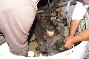 DSCI1674 [1024x768] (1)