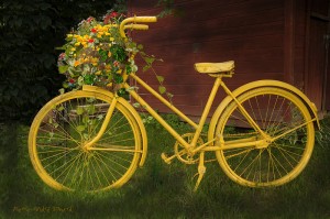 VIEUX VELO 1