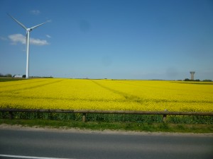 P1060589